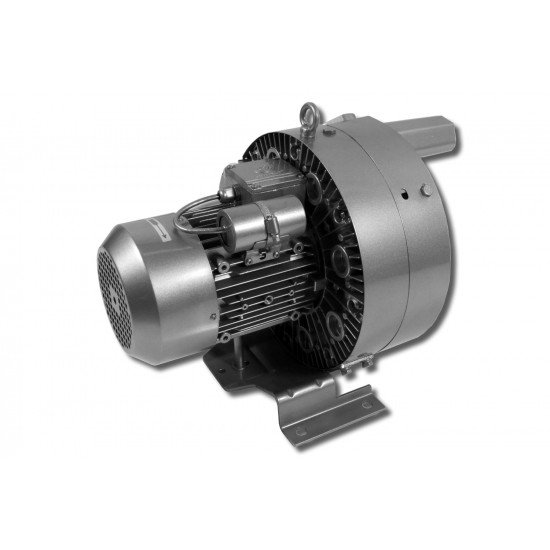 Souffleur à canal latéral SV 65D Souffleur à canal latéral SV 65D