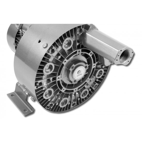 Souffleur à canal latéral SV 65D Souffleur à canal latéral SV 65D